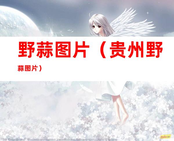 野蒜图片（贵州野蒜图片）