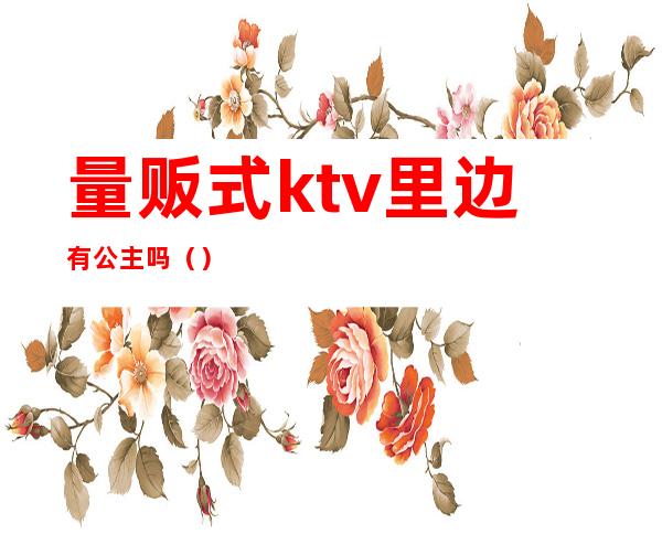 量贩式ktv里边有公主吗（）