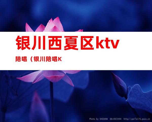 银川西夏区ktv陪唱（银川陪唱KTV）