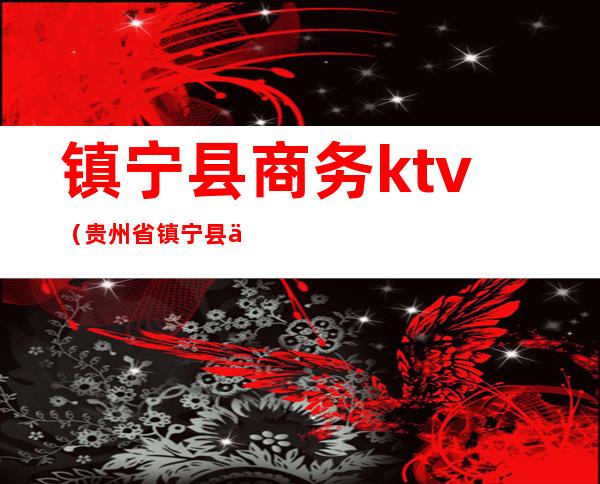 镇宁县商务ktv（贵州省镇宁县人民政府官网）