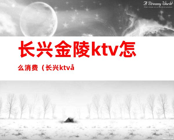 长兴金陵ktv怎么消费（长兴ktv小费多少）