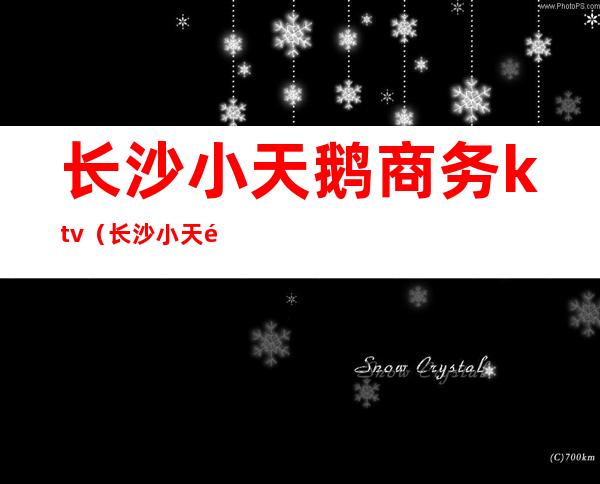 长沙小天鹅商务ktv（长沙小天鹅商务会所）