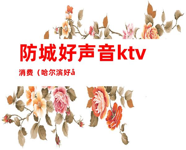 防城好声音ktv消费（哈尔滨好声音KTV）