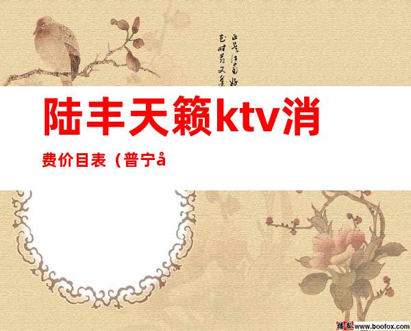 陆丰天籁ktv消费价目表（普宁商品城天籁ktv消费）