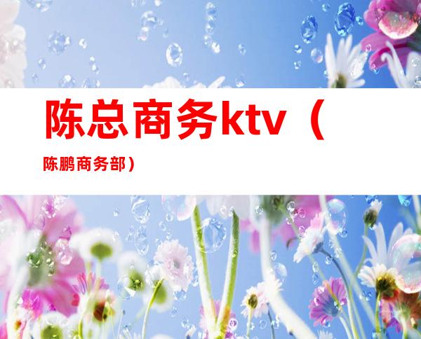 陈总商务ktv（陈鹏商务部）