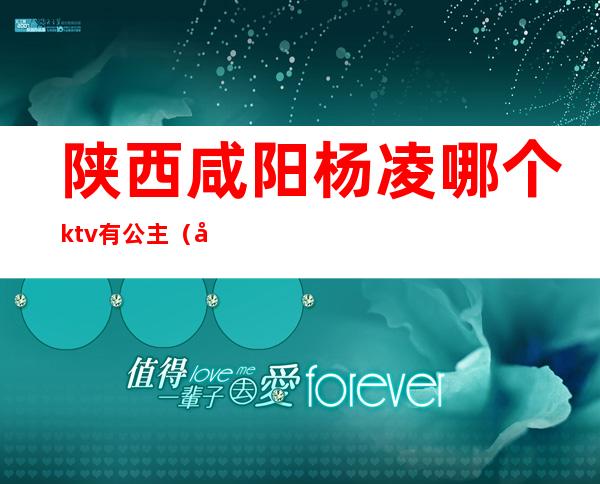 陕西咸阳杨凌哪个ktv有公主（咸阳有公主的KTV）