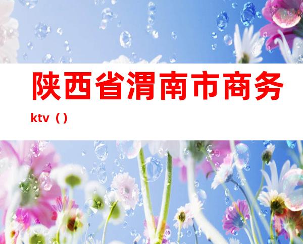 陕西省渭南市商务ktv（）