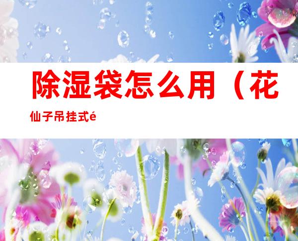 除湿袋怎么用（花仙子吊挂式除湿袋怎么用）