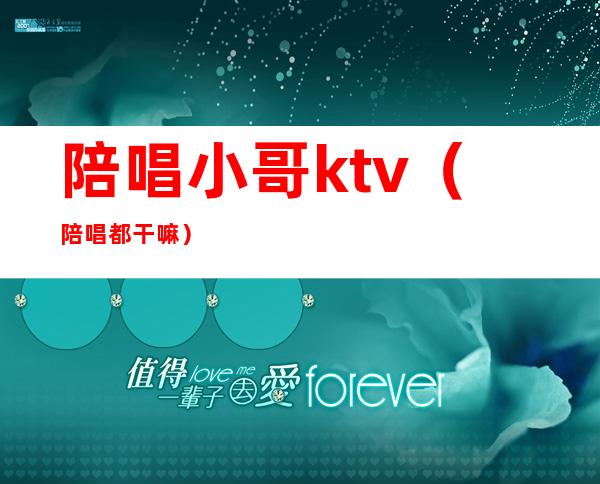 陪唱小哥ktv（陪唱都干嘛）