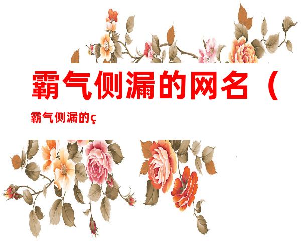 霸气侧漏的网名（霸气侧漏的网名四个字）