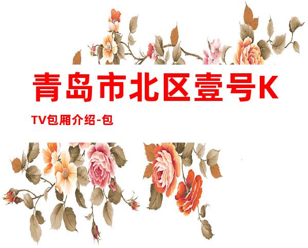 青岛市北区壹号KTV包厢介绍-包厢环境一览 – 青岛市北商务KTV