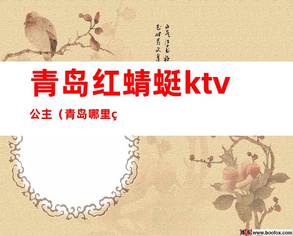 青岛红蜻蜓ktv公主（青岛哪里的ktv有公主）