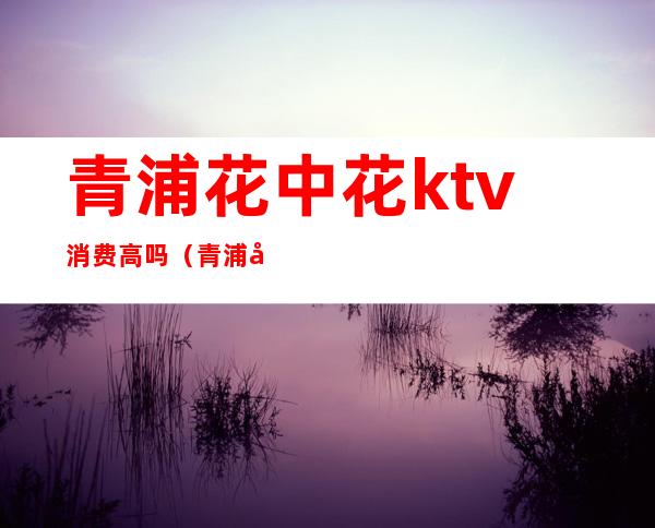 青浦花中花ktv消费高吗（青浦区漕俞路花中花ktv图片）