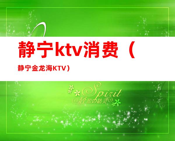 静宁ktv消费（静宁金龙海KTV）