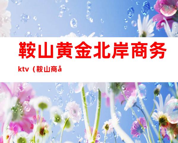 鞍山黄金北岸商务ktv（鞍山商务大厦）