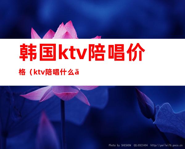 韩国ktv陪唱价格（ktv陪唱什么价位）