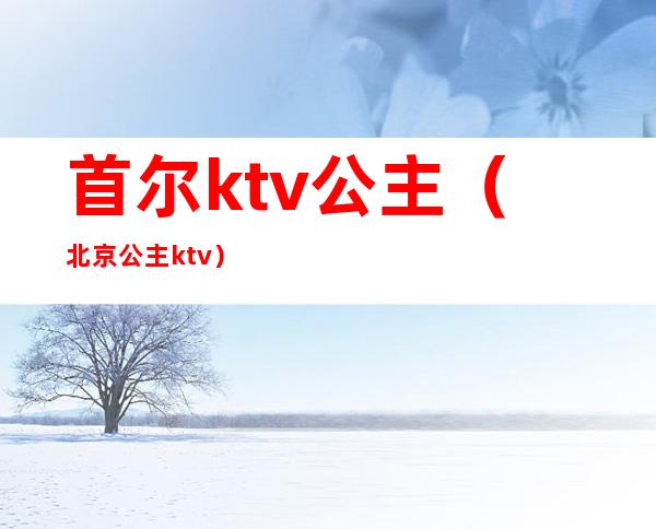 首尔ktv公主（北京公主ktv）