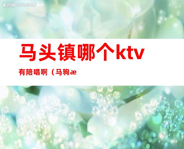 马头镇哪个ktv有陪唱啊（马驹桥哪个ktv里有陪唱）