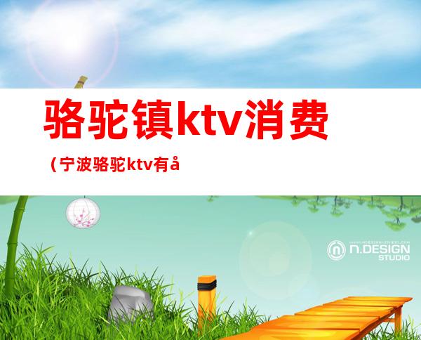 骆驼镇ktv消费（宁波骆驼ktv有哪些）