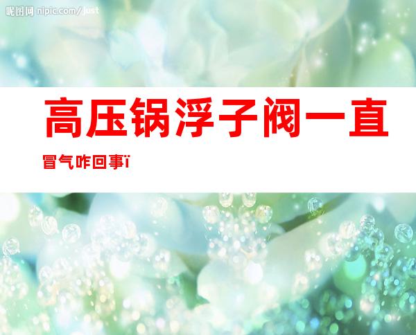 高压锅浮子阀一直冒气咋回事（电压力锅浮子阀一直冒气）