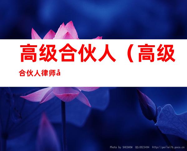 高级合伙人（高级合伙人律师年收入）