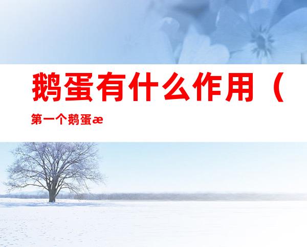 鹅蛋有什么作用（第一个鹅蛋有什么作用）