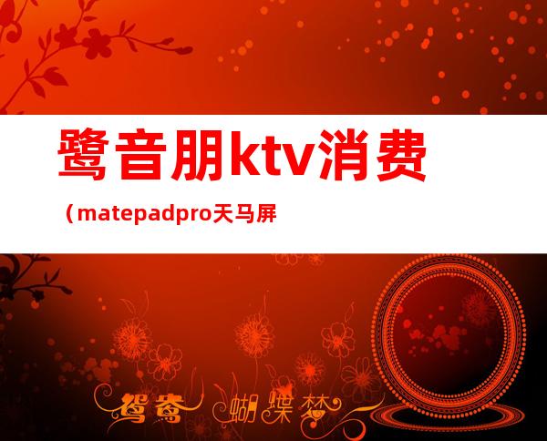 鹭音朋ktv消费（matepadpro天马屏）