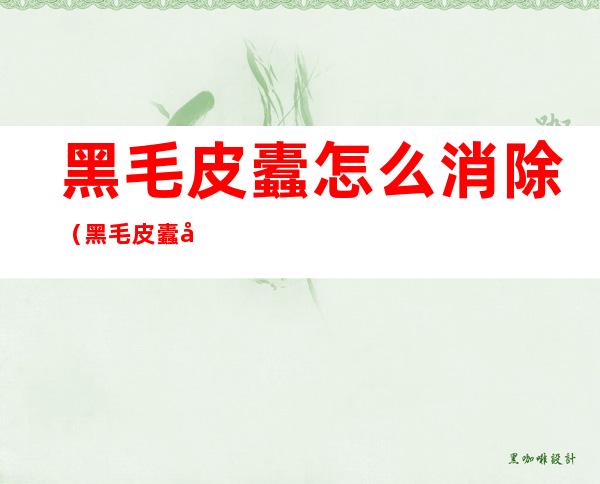黑毛皮蠹怎么消除（黑毛皮蠹幼虫怎么去除）