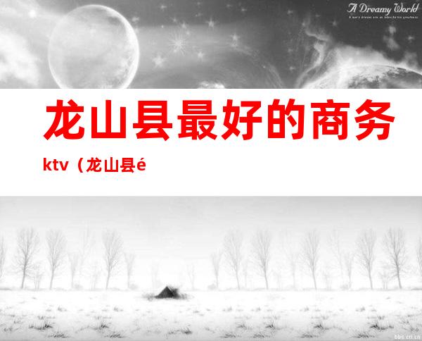 龙山县最好的商务ktv（龙山县酒店哪家好）