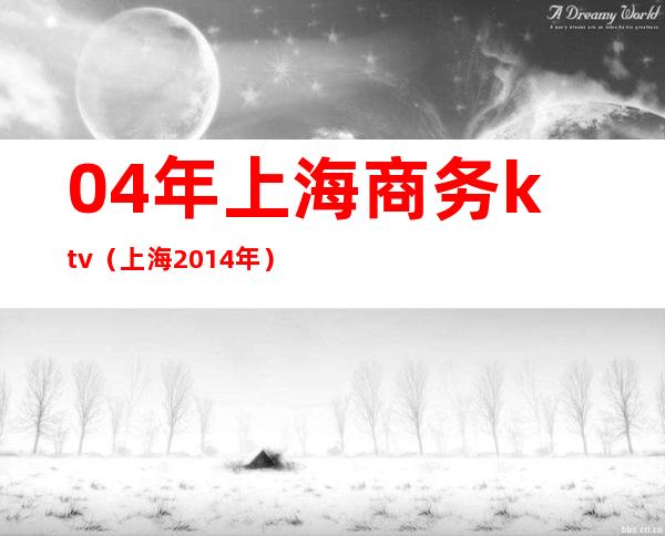 04年上海商务ktv（上海2014年）