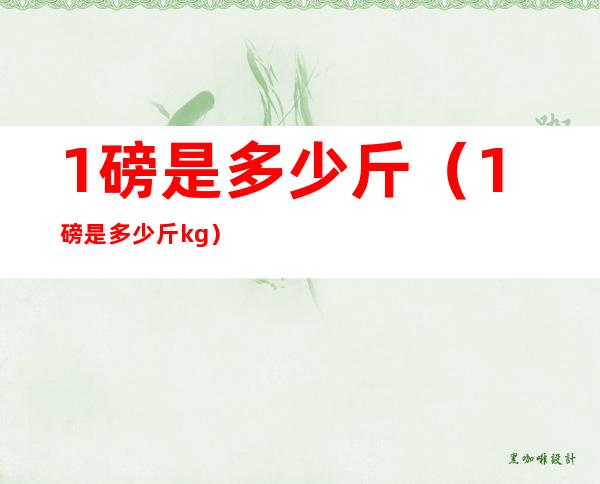 1磅是多少斤（1磅是多少斤kg）