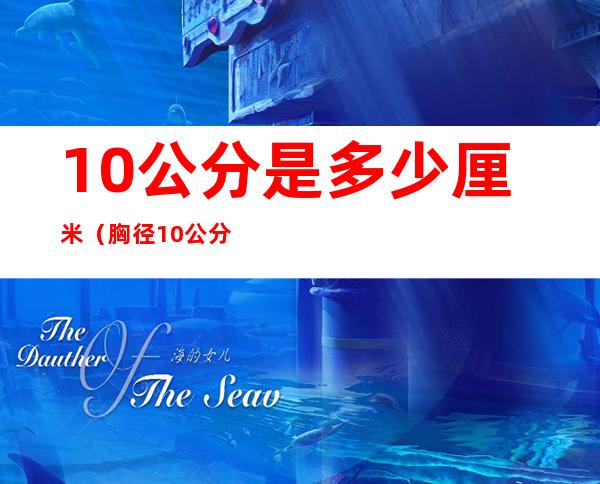 10公分是多少厘米（胸径10公分是多少厘米）