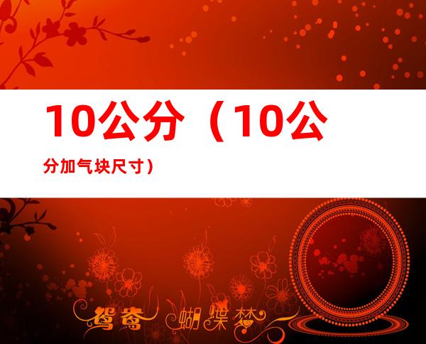 10公分（10公分加气块尺寸）