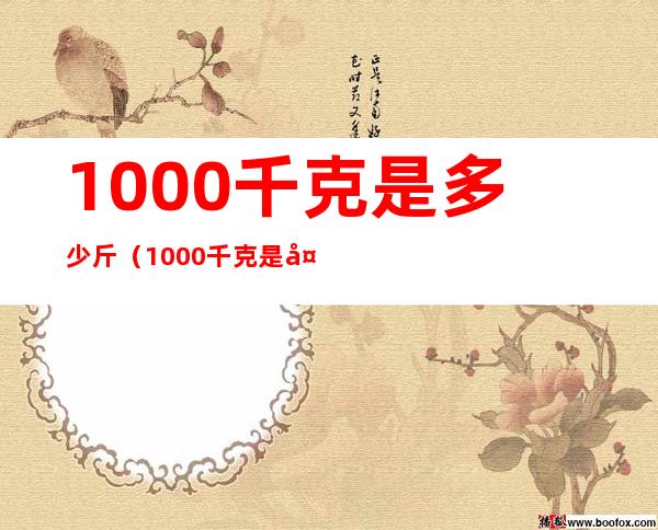 1000千克是多少斤（1000千克是多少公斤）