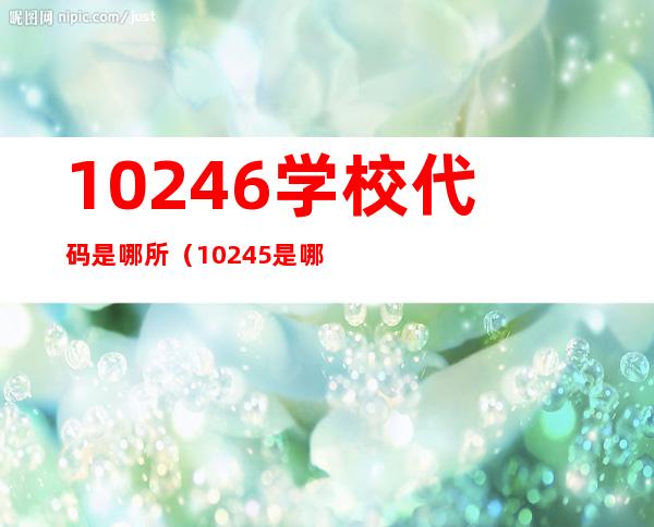 10246学校代码是哪所（10245是哪个学校代码）