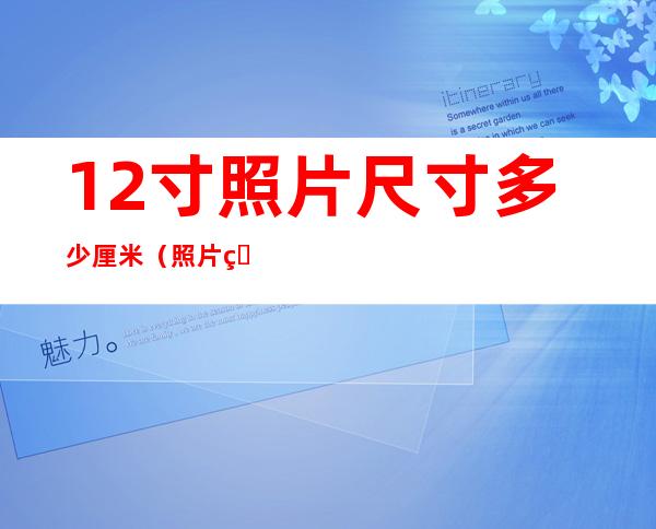 12寸照片尺寸多少厘米（照片的12寸是多少厘米）