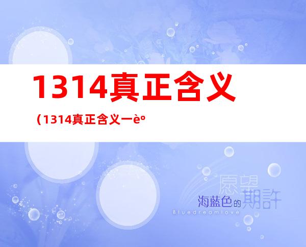 1314真正含义（1314真正含义一身孤独）