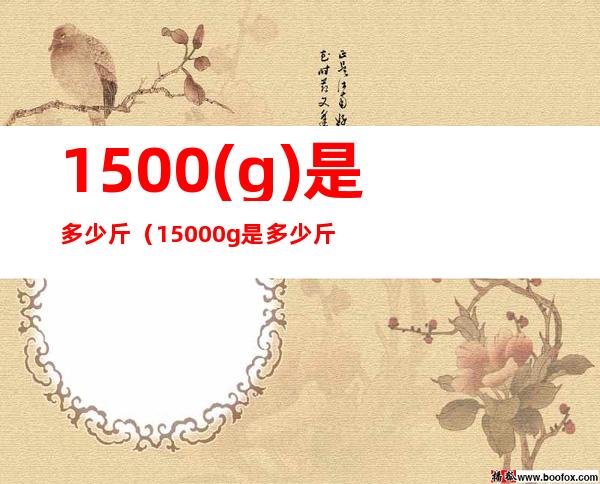 1500(g)是多少斤（15000g是多少斤）