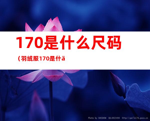 170是什么尺码（羽绒服170是什么尺码）