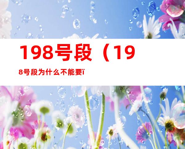 198号段（198号段为什么不能要）