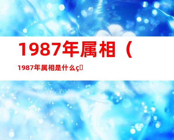 1987年属相（1987年属相是什么生肖）