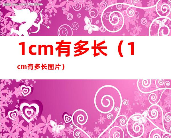 1cm有多长（1cm有多长图片）