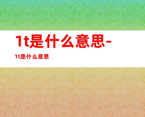 1t是什么意思-1t是什么意思