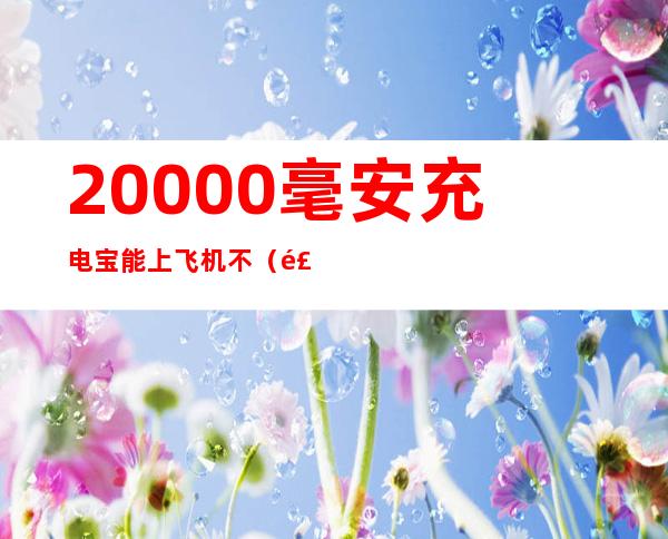 20000毫安充电宝能上飞机不（飞机上能20000毫安充电宝吗）