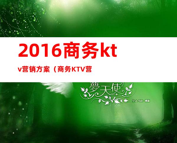 2016商务ktv营销方案（商务KTV营销方案）