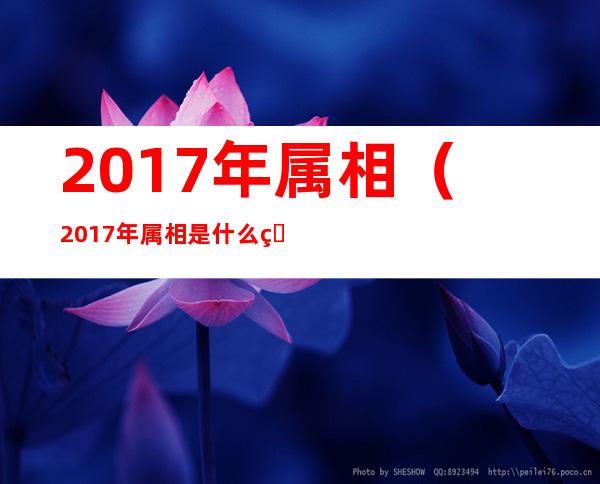 2017年属相（2017年属相是什么生肖）