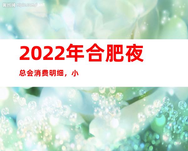 2022年合肥夜总会消费明细，小编为你详细讲解