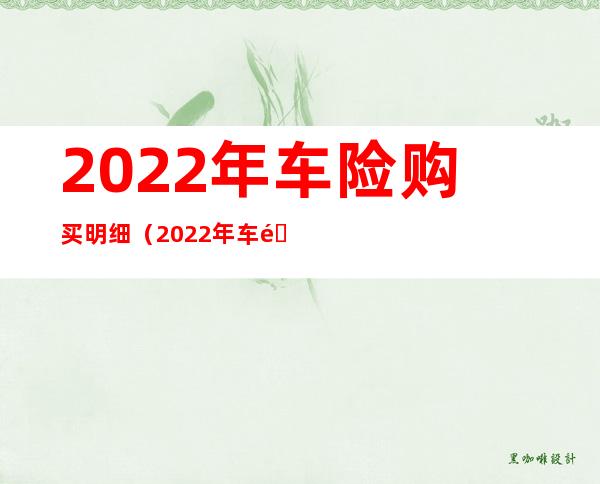 2022年车险购买明细（2022年车险购买明细表）