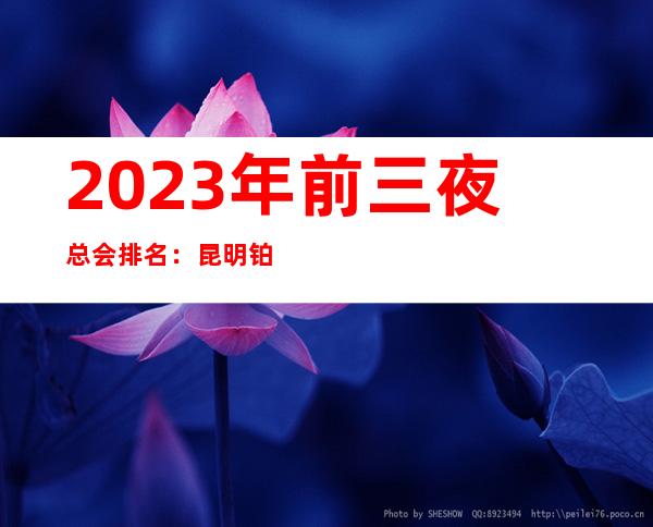 2023年前三夜总会排名：昆明铂金永利KTV攻略消费