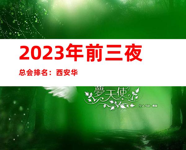 2023年前三夜总会排名：西安华庭娱乐KTV攻略消费